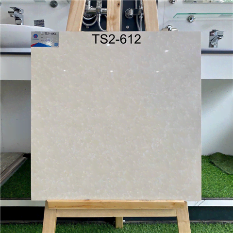 Gạch Granite Viglacera Kt 60x60cm mã TS2-612