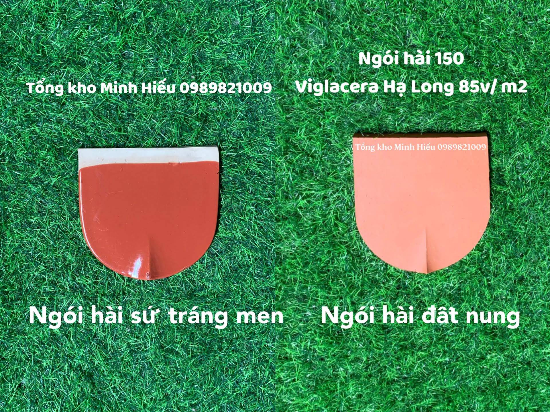 Kiến thức về ngói hài chính xác nhất