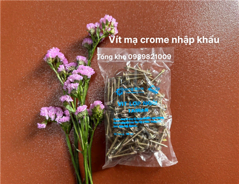 Ảnh Vít Crome nhập khẩu- Vít bắn ngói cao cấp 