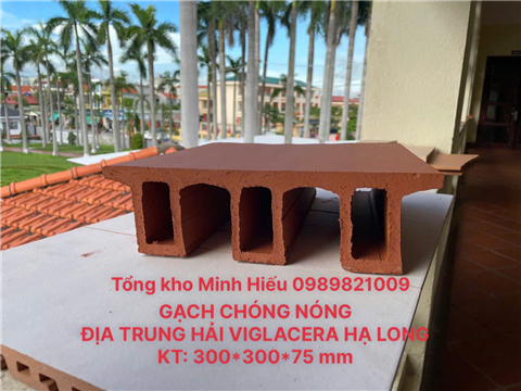 GẠCH CHÓNG NÓNG ĐỊA TRUNG HẢI KT: 300*300*75 mm - SẢN PHẨM MỚI RA MẮT CỦA CÔNG TY CP VIGLACERA HẠ LONG 