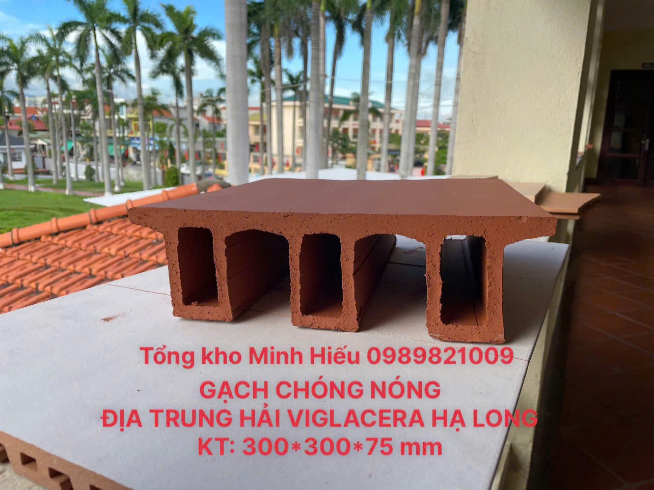 GẠCH CHÓNG NÓNG ĐỊA TRUNG HẢI KT: 300*300*75 mm - SẢN PHẨM MỚI RA MẮT CỦA CÔNG TY CP VIGLACERA HẠ LONG 