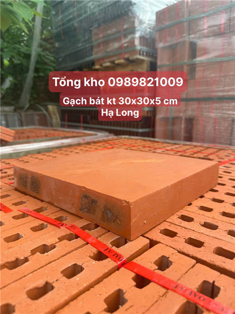 Gạch bát cổ đặc Viglacera Hạ Long 