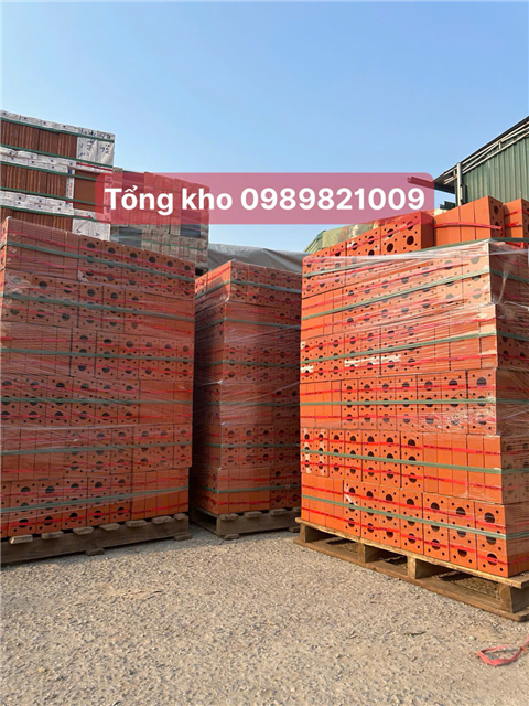 GẠCH XÂY KHÔNG TRÁT VIGLACERA HẠ LONG