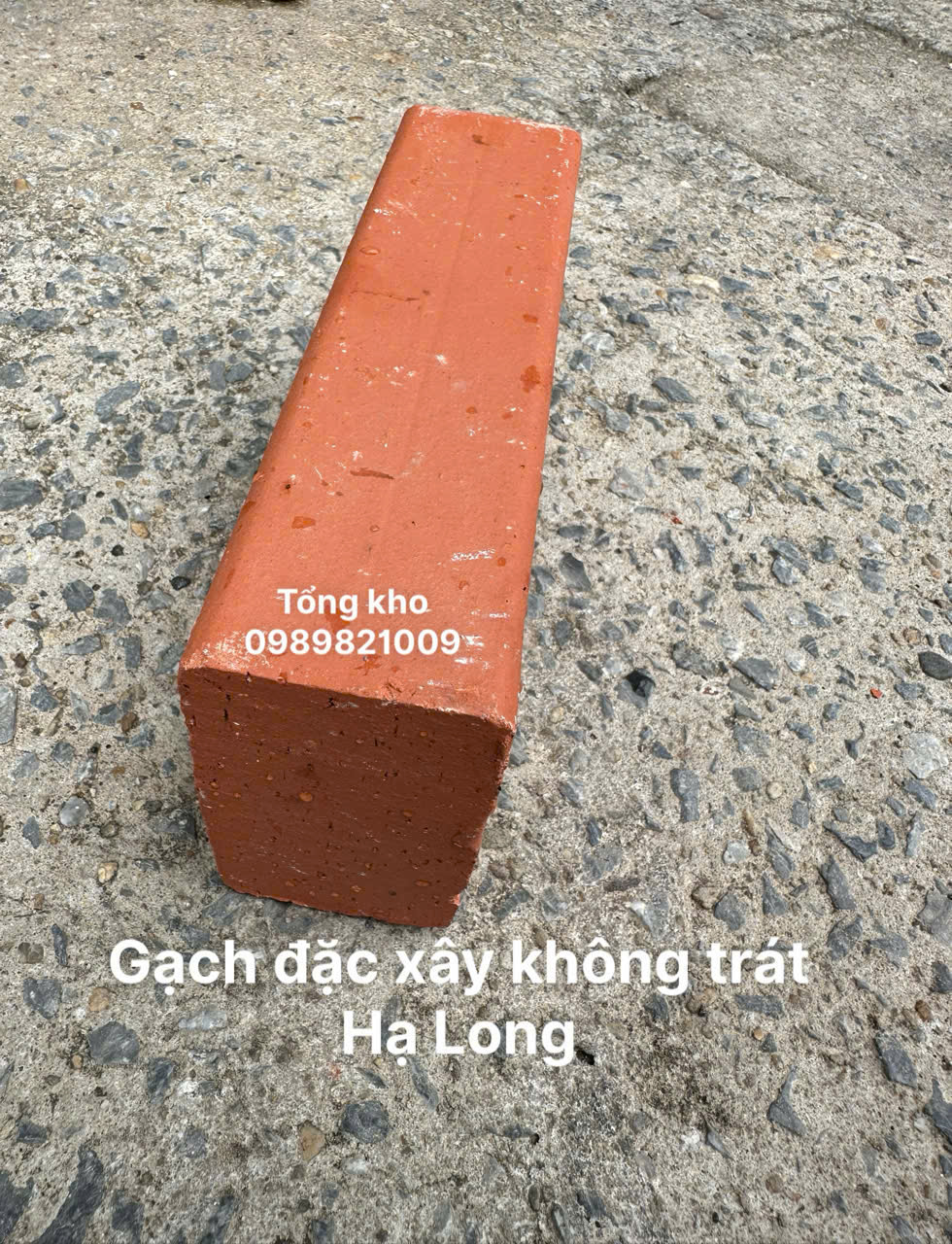 Gạch đặc xây không trát Hạ Long