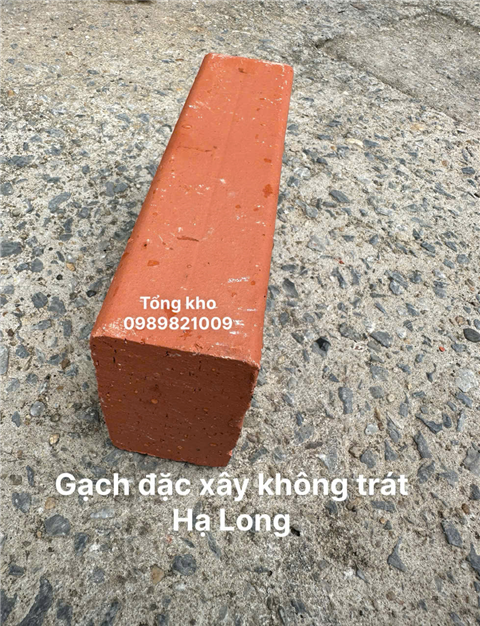 Gạch đặc xây không trát Hạ Long